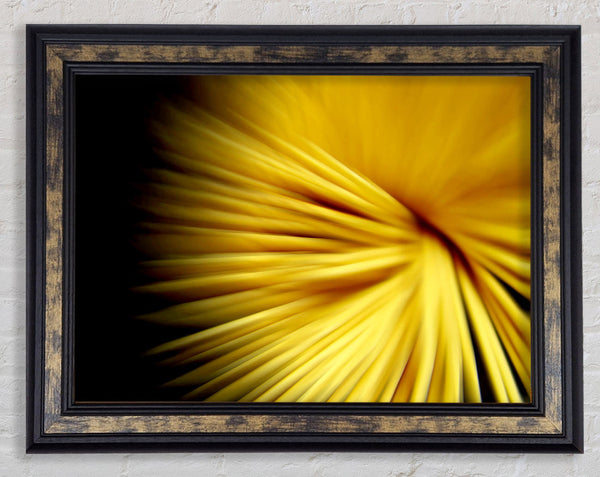 Golden Flare Framed Print