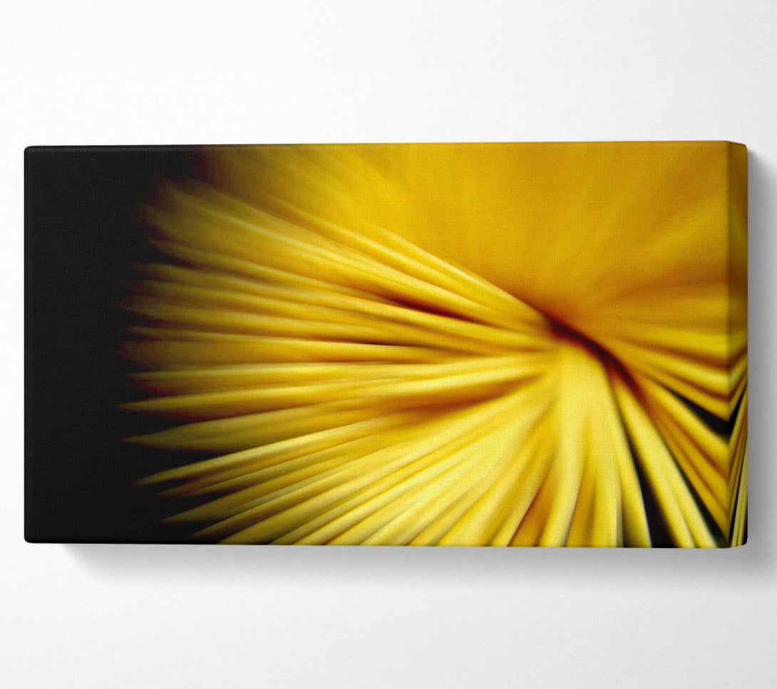  A Canvas Print of Golden Flare Canvas Print