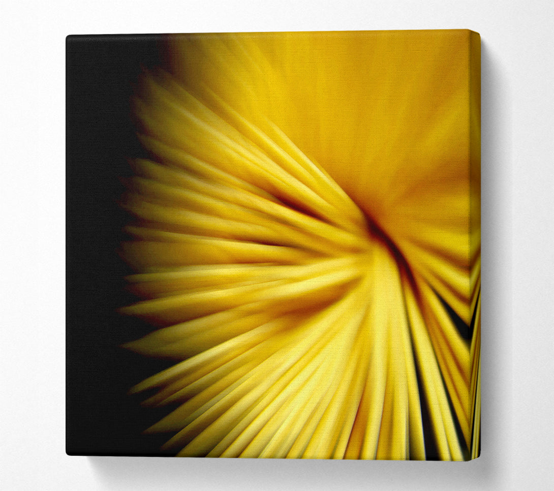  A Canvas Print of Golden Flare Canvas Print