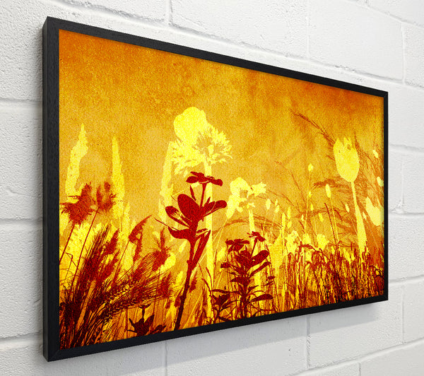 Golden Slash Flowers