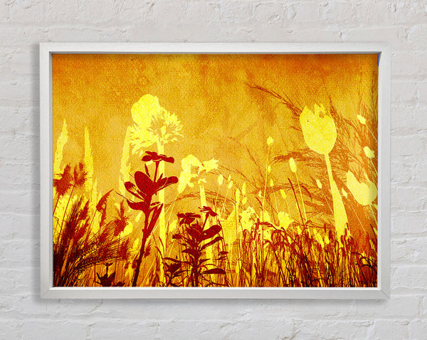 Goldene Schrägstrichblumen