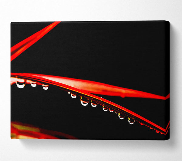  A Canvas Print of Hanging On Canvas Wall Art