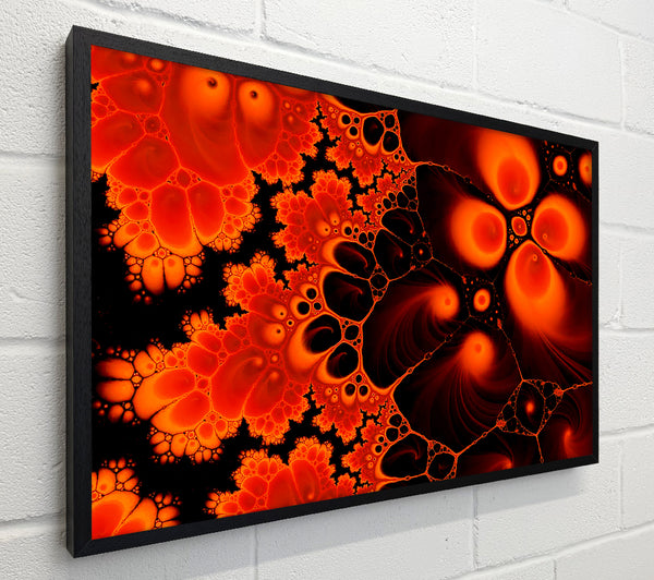 Hydrolysis Dream Red Orange