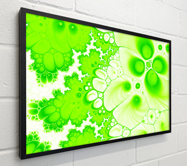 Hydrolysis Dream Lime Green