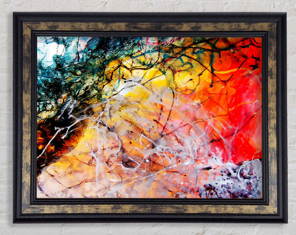 Illusive Rainbow Trees Framed Print