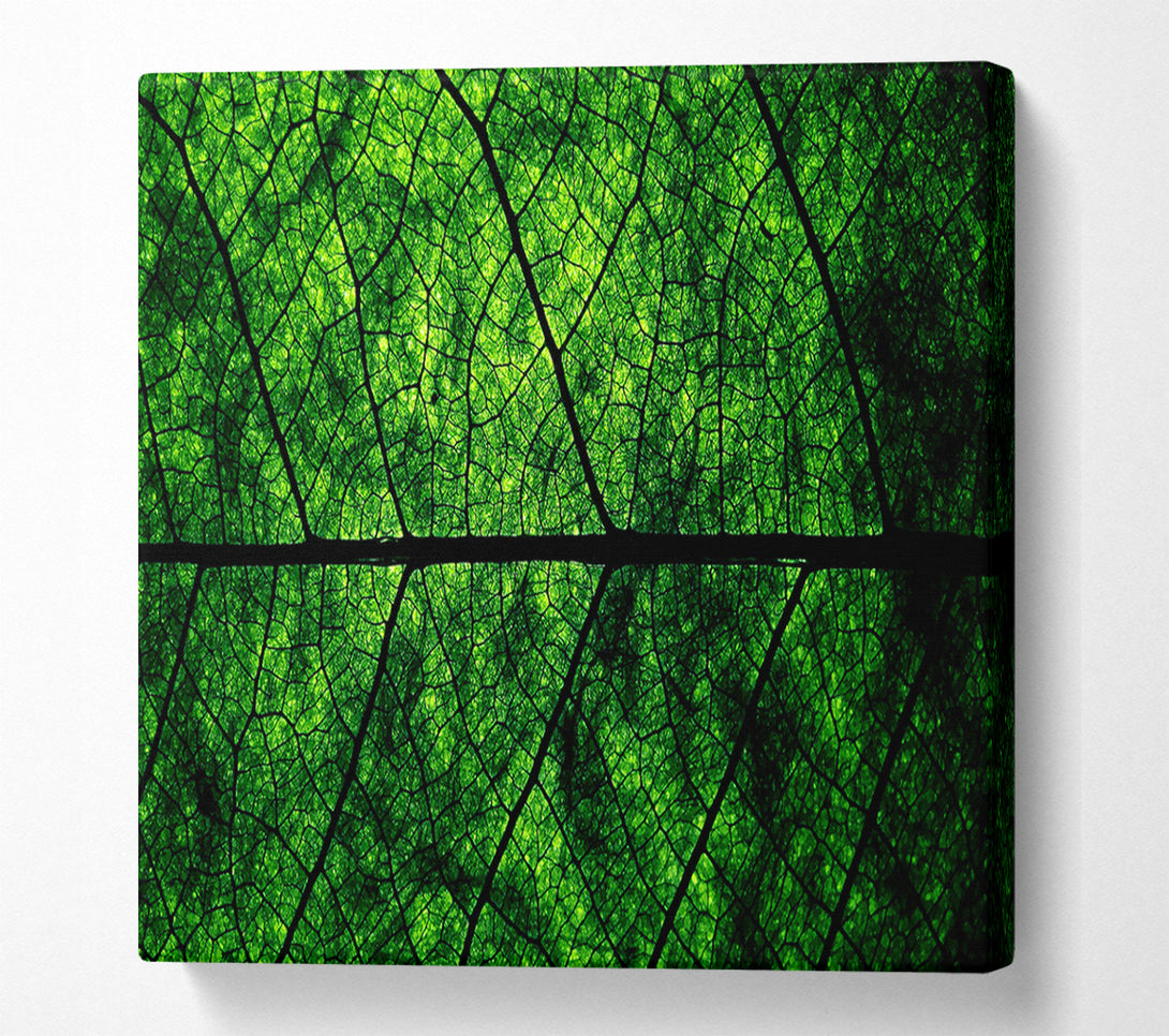  A Canvas Print of Leaf Veins Canvas Wall Art