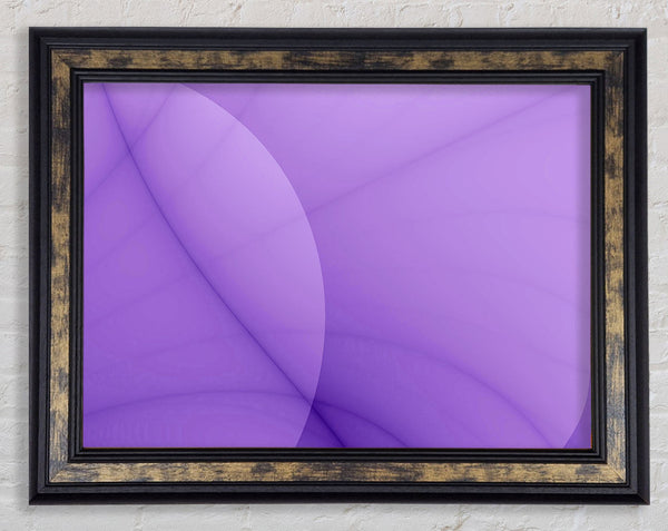 Lilac Beauty Framed Print