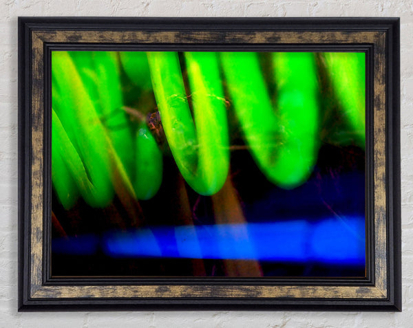 Lime Green Coil Framed Print