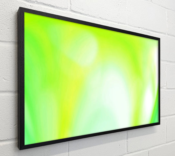 Lime Infusion