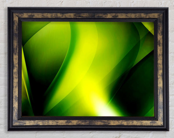 Lime Light Framed Print