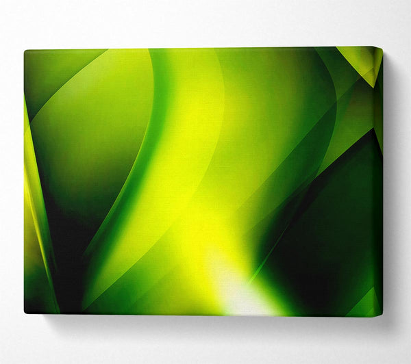  A Canvas Print of Lime Light Canvas Print