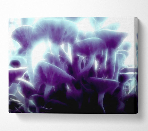  A Canvas Print of Magic Mystical Mushrooms Canvas Art