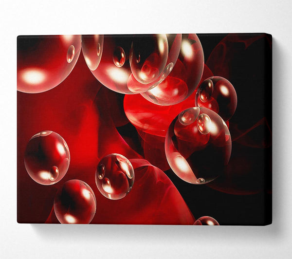  A Canvas Print of Malteser Delight Canvas Wall Art