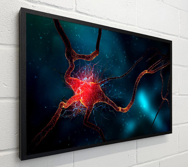 Neuron