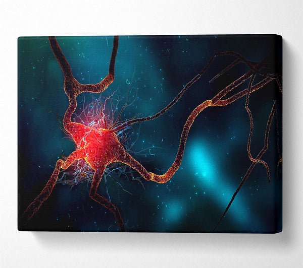  A Canvas Print of Neuron Canvas Print