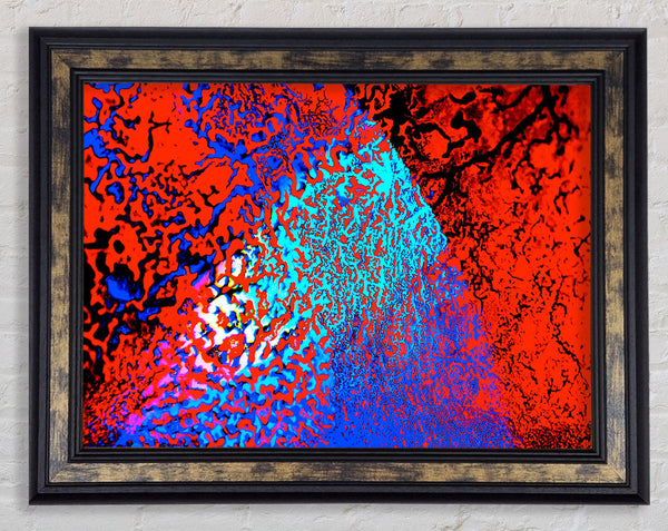 Orange Mase Framed Print
