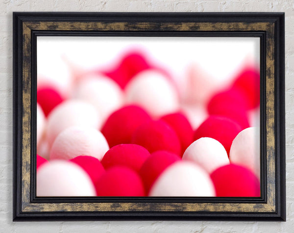 Pink And White Sweet Framed Print