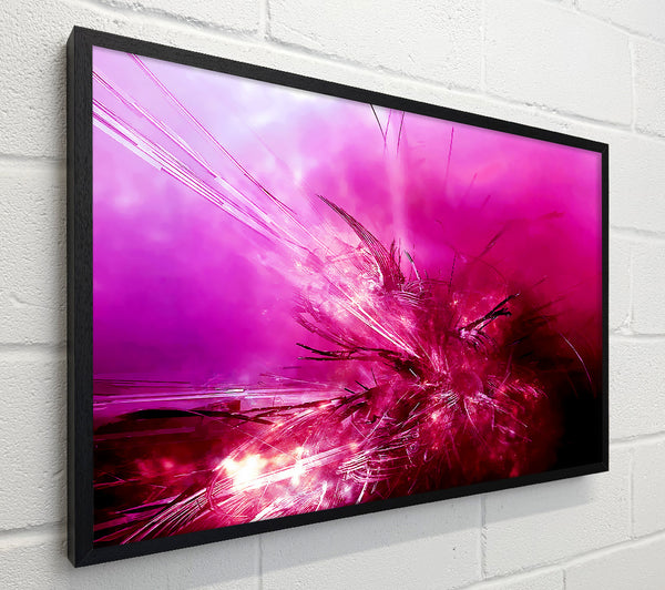 Pink Fury
