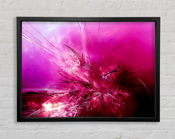 Pink Fury Framed Print