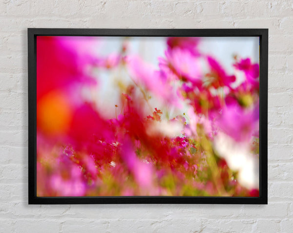 Pinkish Framed Print