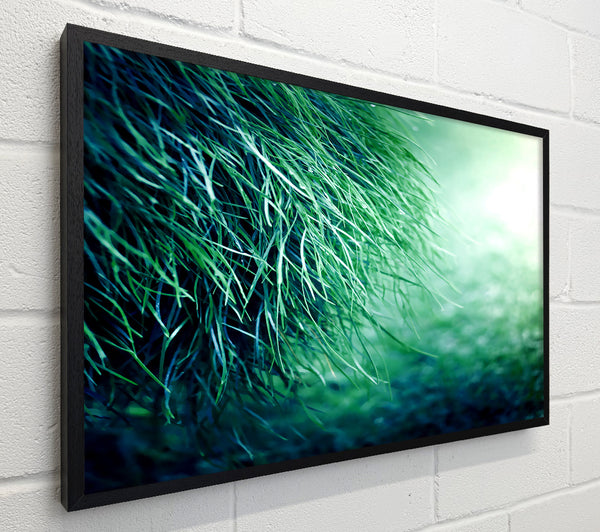 Pure Grass