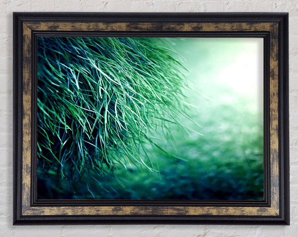 Pure Grass Framed Print
