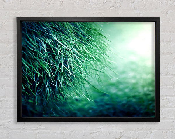 Pure Grass Framed Print