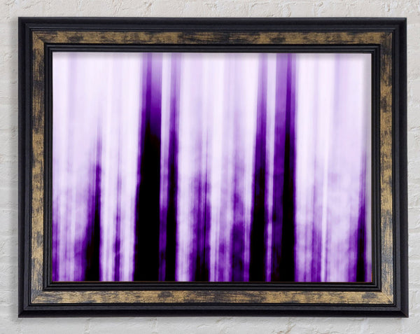 Purple Dream Framed Print
