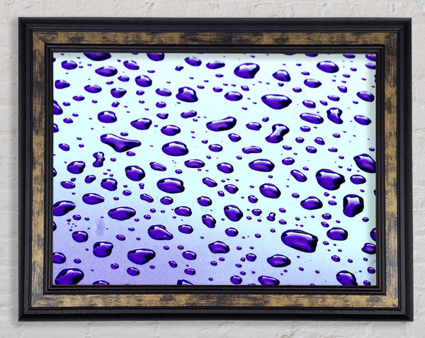 Purple Raindrops Framed Print
