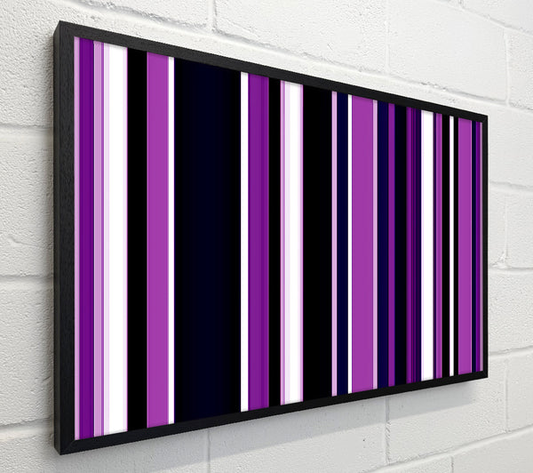 Purple Stripes