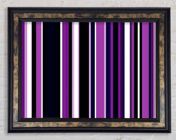 Purple Stripes Framed Print