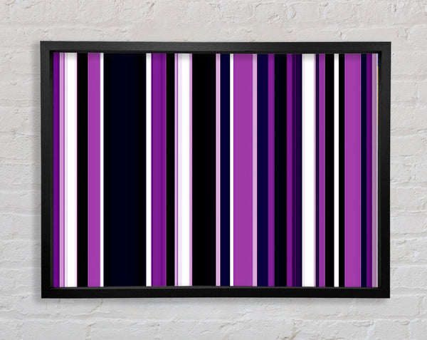 Purple Stripes Framed Print