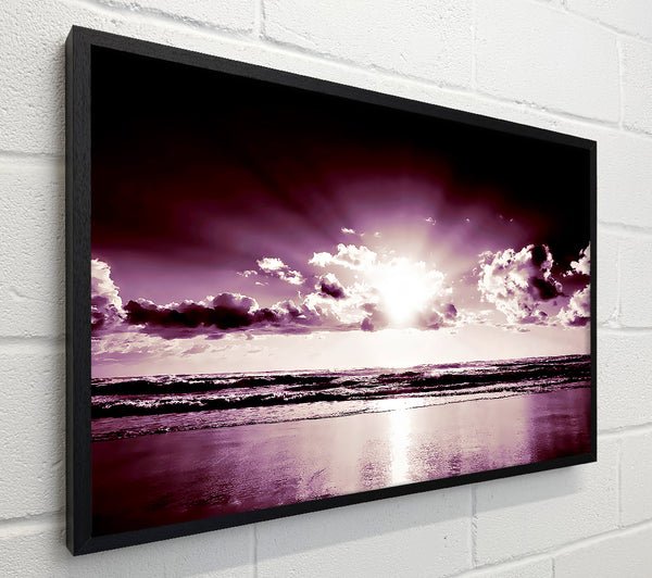 Purple Sunbeams