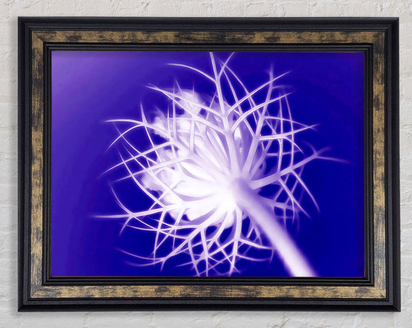 Purple Thorns Framed Print