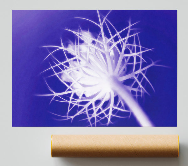 Purple Thorns Poster