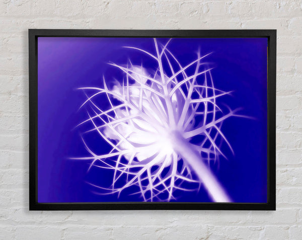 Purple Thorns Framed Print