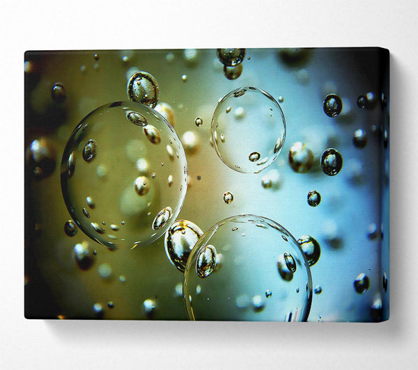  A Canvas Print of Rain Drops Canvas Art