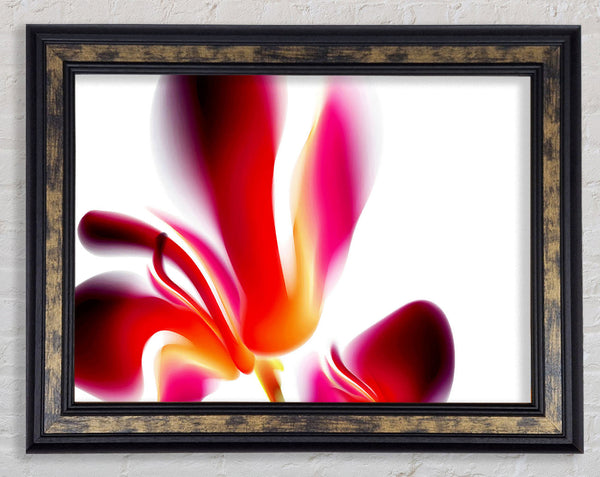 Raspberry Ripple Framed Print
