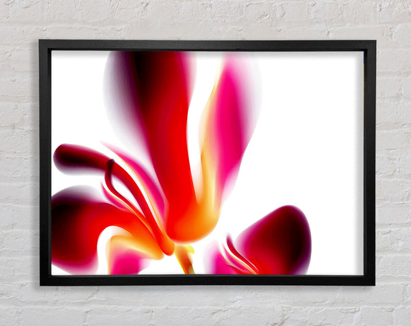 Raspberry Ripple Framed Print