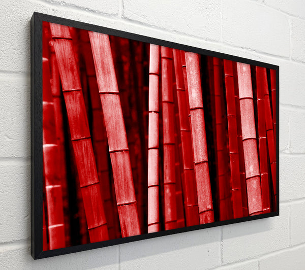 Red Bamboo