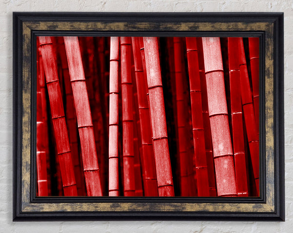 Red Bamboo Framed Print