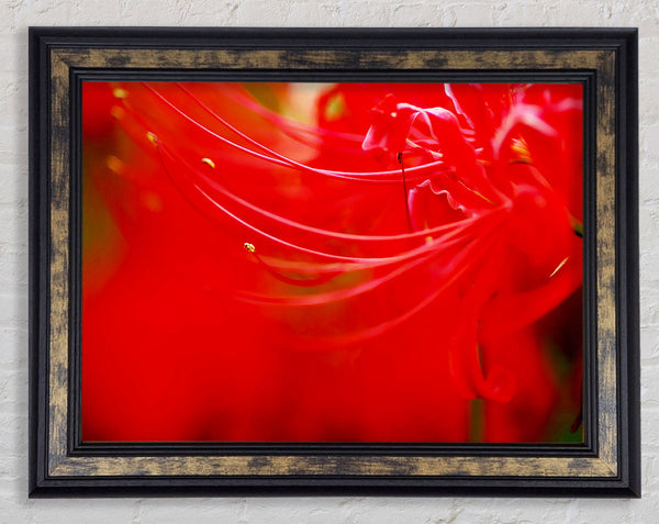 Red Heaven Framed Print