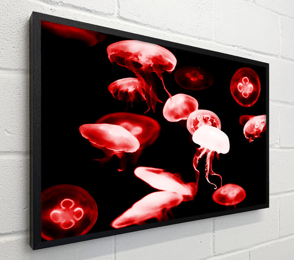 Red Neon Jellyfish