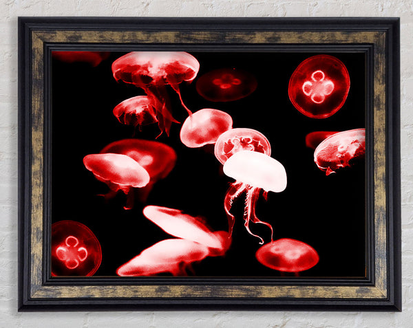 Red Neon Jellyfish