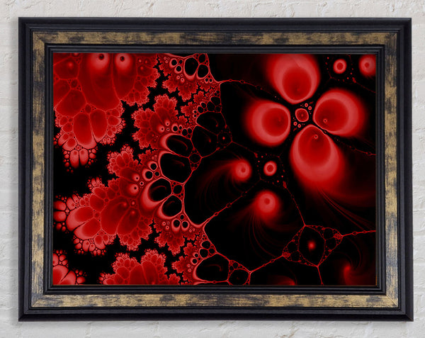Red On Black Flourish Framed Print