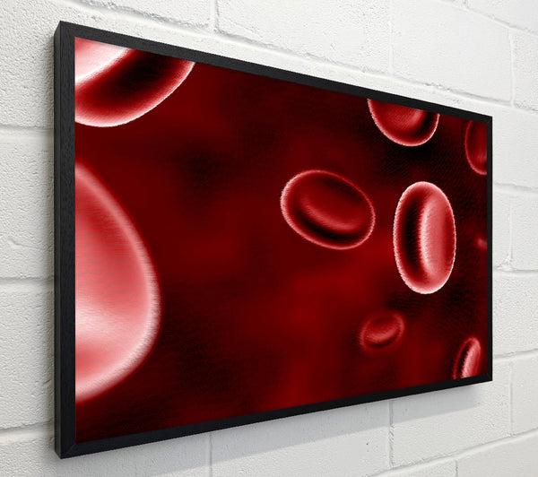 Red Spheres In Motion