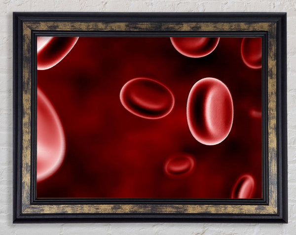Red Spheres In Motion Framed Print