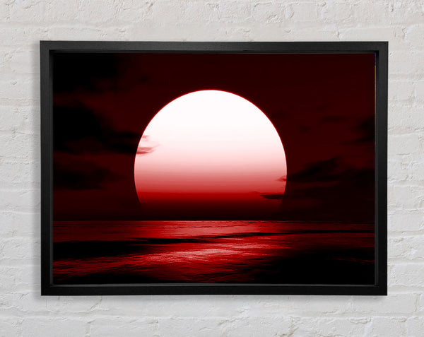 Rote Sonnenruhm