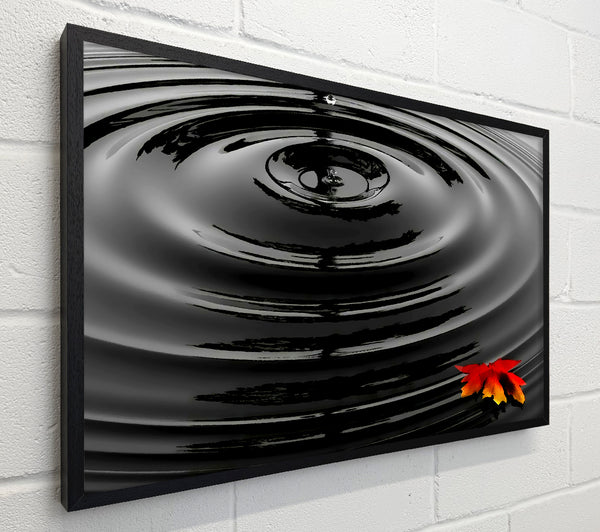 Rippled Autumn Leave