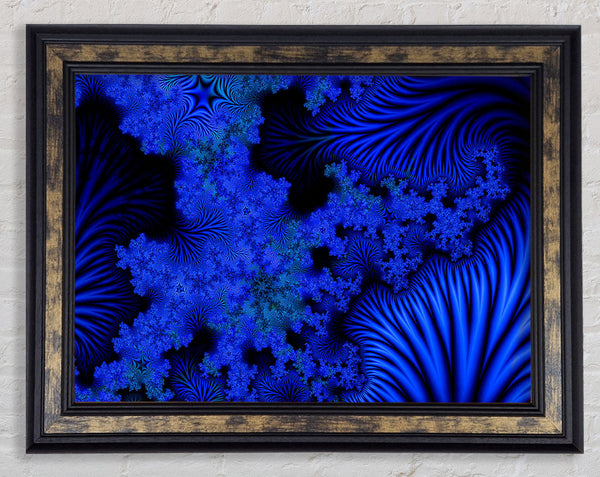 Sea Bed Of Blue Framed Print